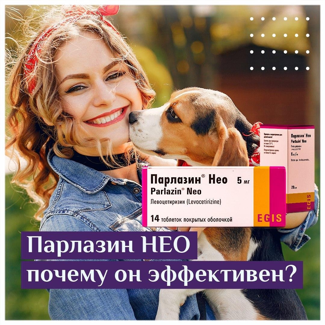 Девушка с собакой